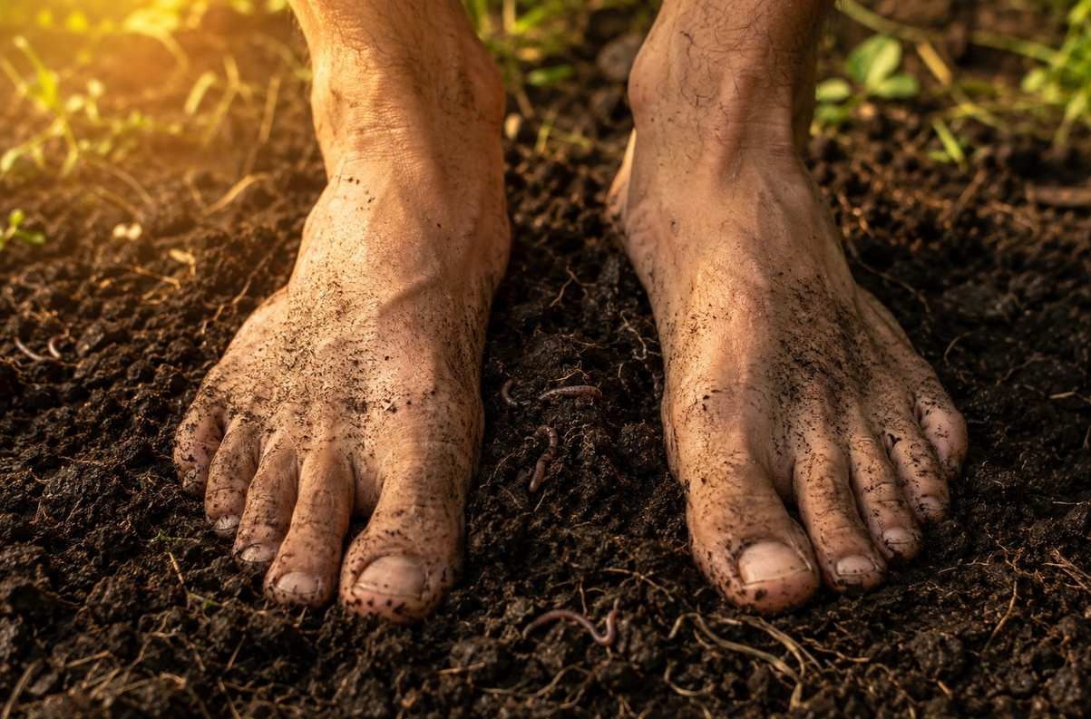 Bare feet firmly planted on rich dark soil with grass roots visible, golden sunlight warming the earth, representing grounding and earthing practices
