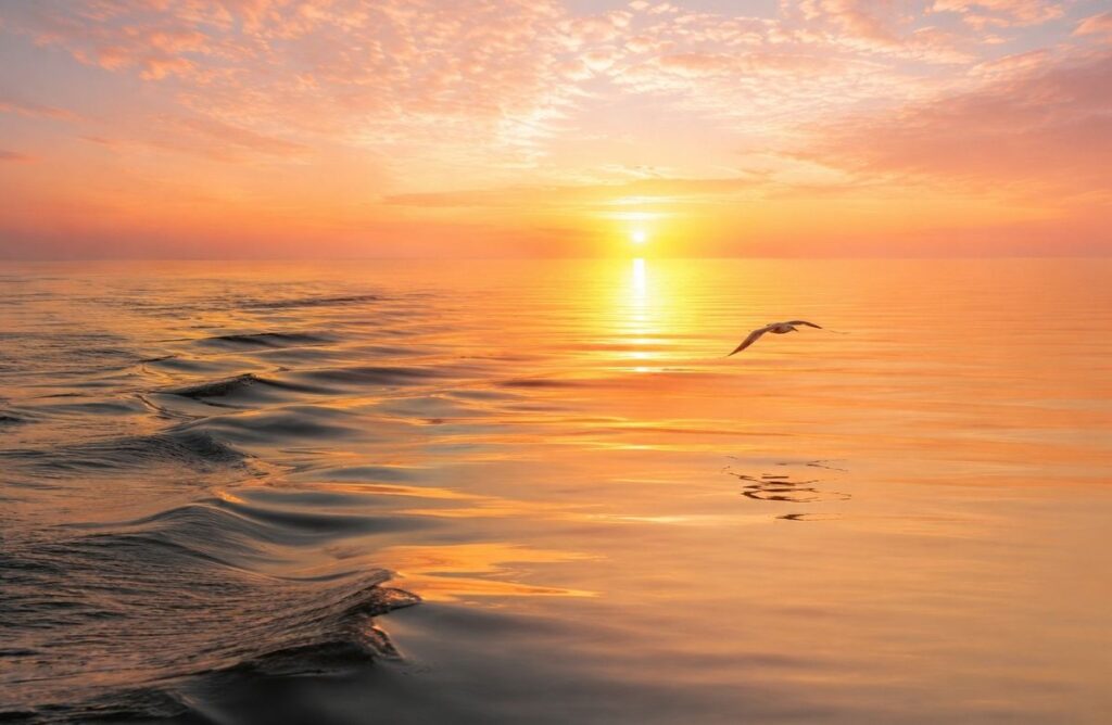Ocean waves dissolving into calm water representing non-dual awareness beyond the witness